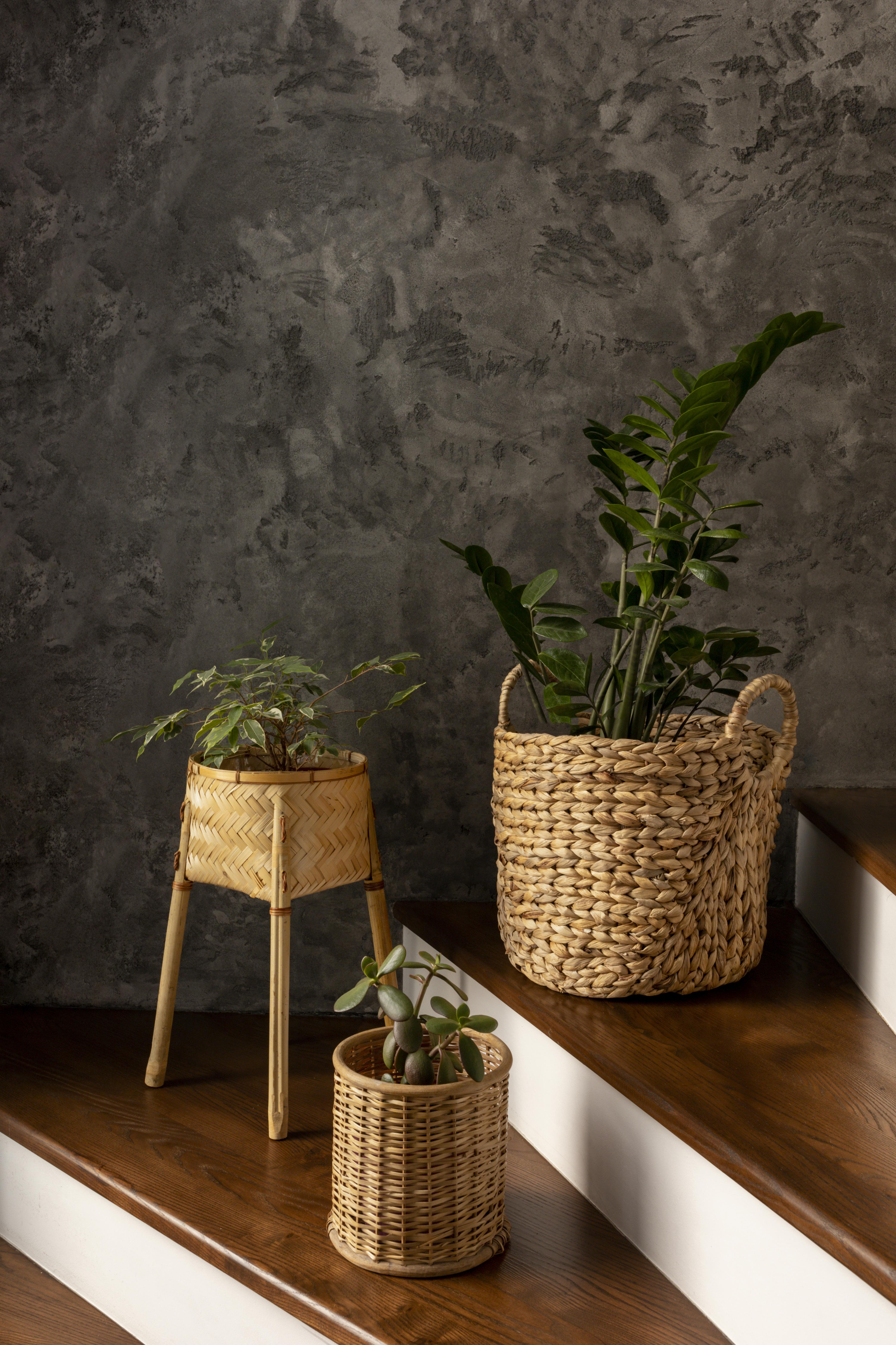 Curated Decor & Storage